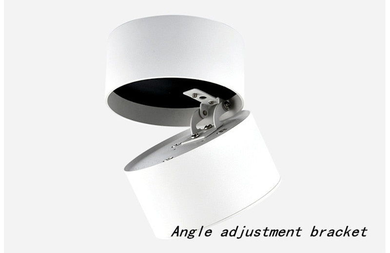 New Style Dimmable Surface Mounted Rotating LED Ceiling Downlight  10W Epistar LED Spot Light Ceiling Lamp,UL Certification, Delivery 60 days.
