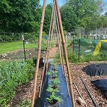 Natural Jute Twine 600 Feet Long Twine String for Crafts Gift Wrapping Packing Gardening Wedding Decor (Brown 2mm * 600feet),Free shipping to Canada,delivery two weeks