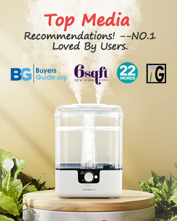 6L Humidifiers for Bedroom Large Room, Home,Cool Mist Top Fill Humidifier for Baby Nursery and Plants, 26dB Quiet, Nightlight, 50H Runtime, Oil Diffuser, 360° Nozzle Anti-dry Burn,White Colour.Free and fast delivery.